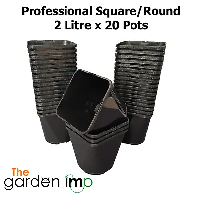 2L Plant Pots Square Black Plastic Litre Strong Hydroponic Nursery 14cm Pot | 20 • £10.99