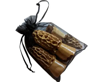 Morel Mushrooms In A Bag Set Of 3 Hand-carved Wooden Morel Decorations. • $37.97