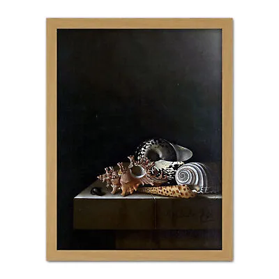 £37.99 • Buy Coorte Shells On A Stone Plinth Painting Framed Wall Art Print 18X24 In