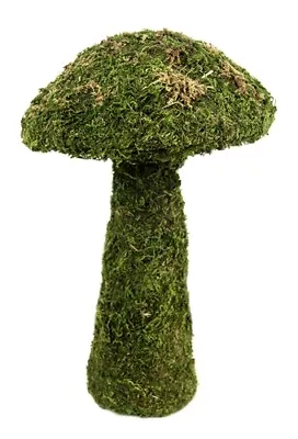 Moss Mushroom Green SM 11  Terrarium Decoration • $21.12