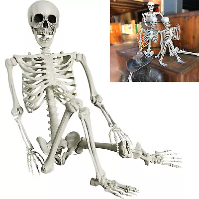 5.6ft/170cm Halloween Skeleton Human Full Body Bones Props Spooky Party Decor • $47.75