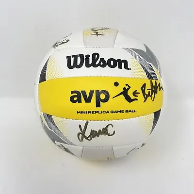 Signed Wilson AVP Mini Replica Game Ball  Erica Zaun Lot Of Signature • $150