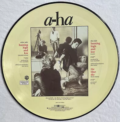 A-Ha -Hunting High And Low- Rare UK 12  Picture Disc (aha) (Vinyl Record) • £34.99