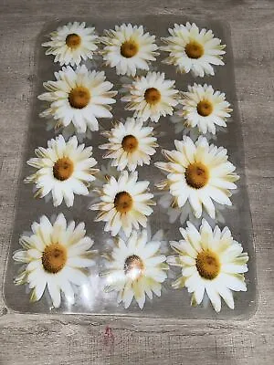 Vintage Clear Jelly Daisy Set Of 4 Placemats 17” X 11.25” Floral Flowers Bouquet • $15