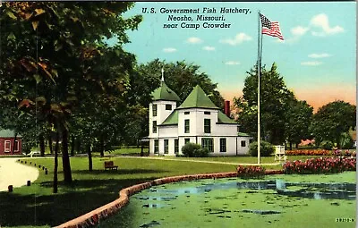 U.S. Government Fish Hatchery Camp Crowder Neosho Missouri Vintage Postcard  • $7.99