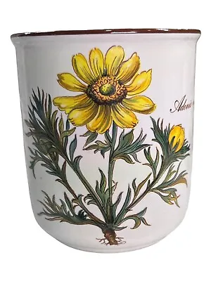 1 Villeroy Boch Botanica Adonis Cup Without Handle Euphrasia Officinalis • $15.29