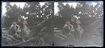 £28.54 • Buy Family Children France C1930 Photo Negative Plate Glass Stereo Vintage P30L17n7