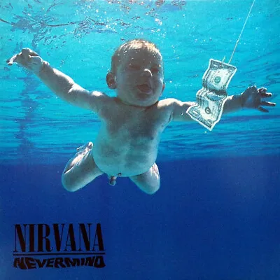 Nirvana - Nevermind - 180g Reissue - Vinyl LP • $61.57