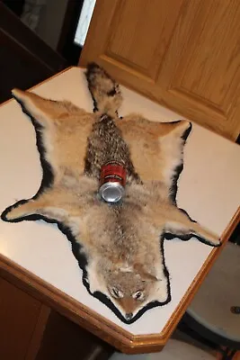 African Black Backed Jackal Rug Mount Taxidermy Deer Mule Hide Pelt Coyote • $215