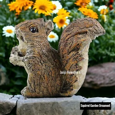 Squirrel Garden Ornament Sitting With Acorn Sculpture Fairy Garden Lawn Home • £9.85