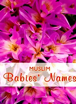 Muslim Babies Names - Goodword Books -PB- • £1.99