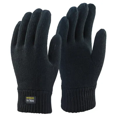 Polar Extreme Men's Knit Insulated Thermal Insulation Black Gloves • $12.99
