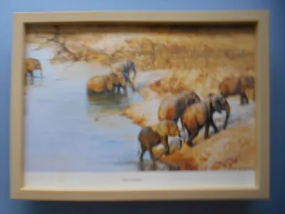 David Shepherd Print 'The Crossing' Elephants FRAMED • £23