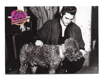 1992 Elvis Presley Collectible Trading Card 4 LEGGED PET OF A FAN #535 • $1.50