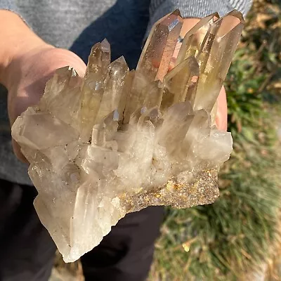 1.43LB Natural Smoky Black Quartz Cluster Crystal Specimen Healing • $0.99