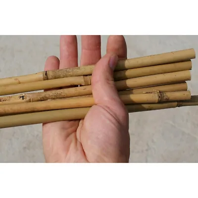 Large Strong Bamboo Canes Poles Garden Plants Support Stakes 60 Cm - 120 Cm • £8.97