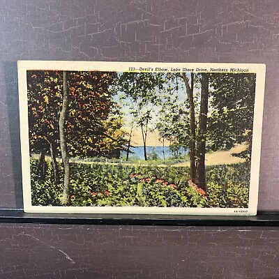 Devils Elbow Lake Shore Drive Northern Michigan UP Vintage Linen Postcard • $4.25