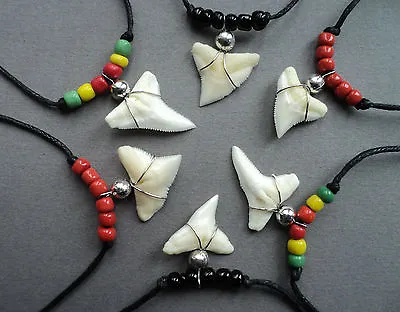 SHARK TOOTH NECKLACE BOYS MENS PENDANT Bead REAL SHARKS 1cm LONG TEETH UK  • £7.99