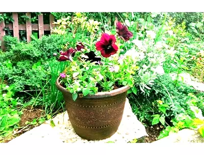 £15.99 • Buy PAIR 2 35CM Large Round Copper Barrel Acorn Planter Garden Plant Pot Flower