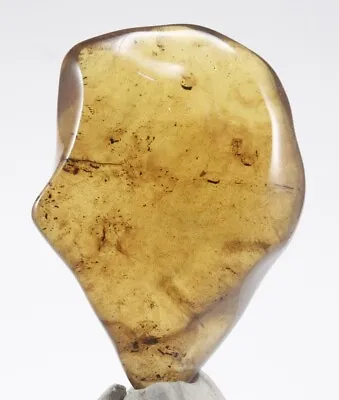 ++ BEAUTIFUL! Full Polished Mexican Amber 54g • $108