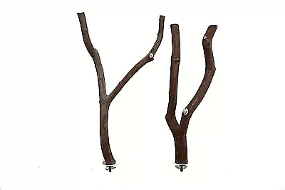 Manzanita Bird Perches Set Of 2 Forked W/ Hardware  Multibranch  * Sweet Deal :) • $14.99