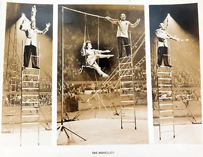 RARE C1940s “The Novellos” Performing Circus Act Large Photograph. #1 • $69