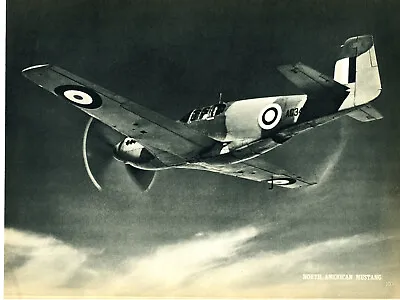 1943 Vintage Print WW2 Plane North American P-51 Mustang British RAF Fighter Air • $24.88