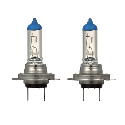 2x H7 Halogen 55W 12V Low/High Beam Headlight/Fog Bulbs Clear W/ Blue Tip Glass • $9.75