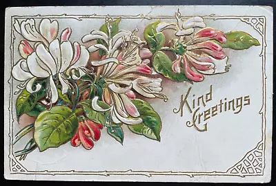 Vintage Victorian Postcard 1910 Kind Greetings - Spray Of Embossed Pink Flowers • $8