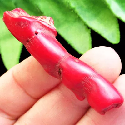 F34535 Red Coral Freeform Pendant Bead 51x10mm • $0.71