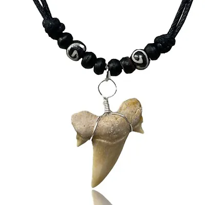 Natural Shark Tooth Necklace For Boys Genuine Fossil Shark Teeth Jewelry Mens • $22.95