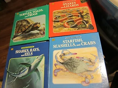 $9.99 • Buy Lot Of 4 Golden Books Hard Back, Snakes, Sharks, Starfish, Turtles Guide Books