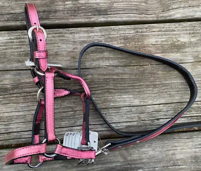 Congress Leather M Miniature Horse Sz Metallic Pink Western Show Halter W/lead • $55