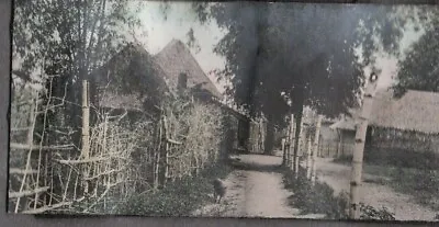 Vintage Photograph 1911-17 Scenic Road Palm Trees Manila Philippines Old Photo • $6