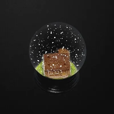 EMINEM~ MMLP2 HOUSE SNOW GLOBE ~ In Hand ~ Free Shipping • $57.79