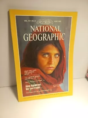 National Geographic Magazine June 1985 Famous Afghan Girl - Vintage Collectable • $75.90