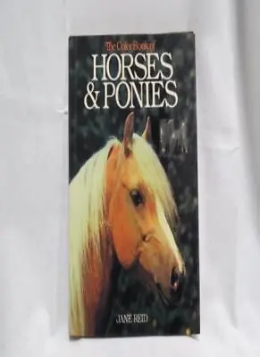 Colour Book Of Horses And Ponies The-Jane Ives • £5.41