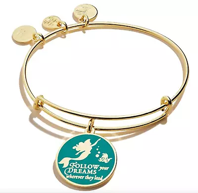 Alex And Ani Disney Ariel  FOLLOW YOUR DREAMS WHEREVER THEY LEAD  Charm Bangle • $20.87