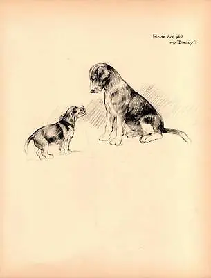 1933 Funny Vintage Dog Print Original Pen & Pencil Sketch By K.F. Barker • £8.75