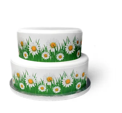 A4 Edible Decor Icing Sheet White Daisy Flower Spring Easter Ribbon Border • £3.49