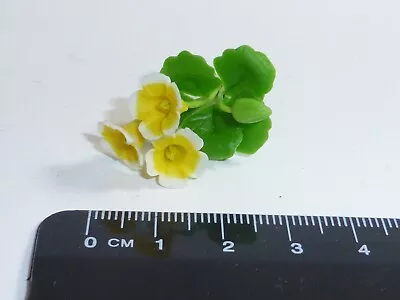 1:12 Scale Gloxinia Flowers A Garden • £1.80