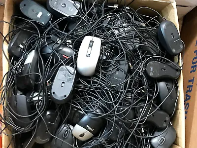 Lot Of 50 Mixed Lot Of USB Wired Mice HP Dell Microsoft Logitect-Major Brands • $90