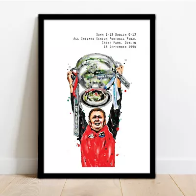 £14.99 • Buy Down Gaa - Dj Kane - All Ireland Football Champions 1994 - Framed Art Print.