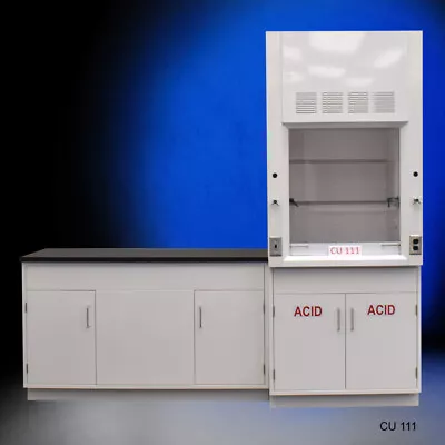 3' Fisher American Fume Hood W/ ACID Storage &5' Laboratory Sink Cabinet /E2-186 • $9400