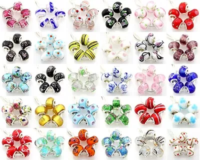 5pcs Murano Lampwork Glass Beads Silver Big Hole For European Charm Bracelet G5 • $1