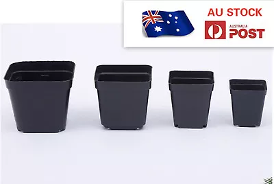 10/20/50/100pcs Plastic Plant Flower Square Pots Nursery Seedling Container • $11.99