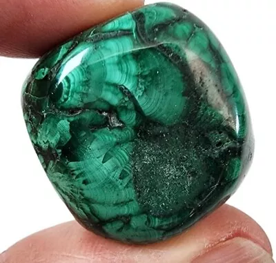 Malachite Polished Stone From The Congo 32.8 Grams • $6.99