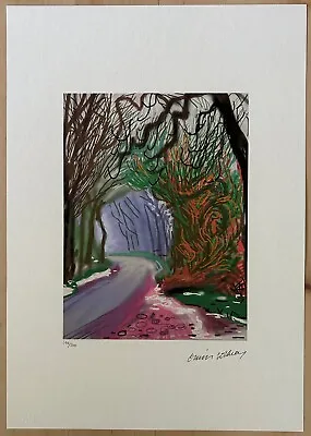 David Hockney (After)  Spring Time  Limited Edition (29/200) Off Set Lithograph • £130.16