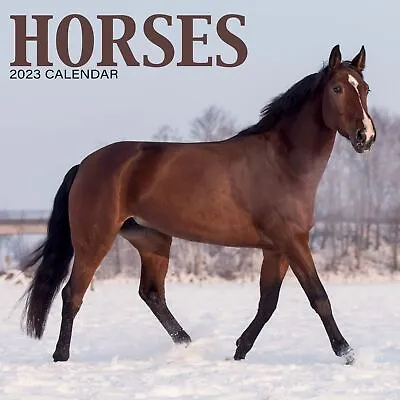 $9.95 • Buy HORSES - 2023 MINI WALL CALENDAR 7x7 - BRAND NEW - 419164