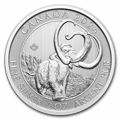 2024 RCM 2 Oz Silver Ice Age Of Canada Woolly Mammoth BU • $69.62